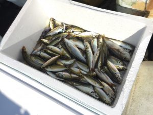 img_7247